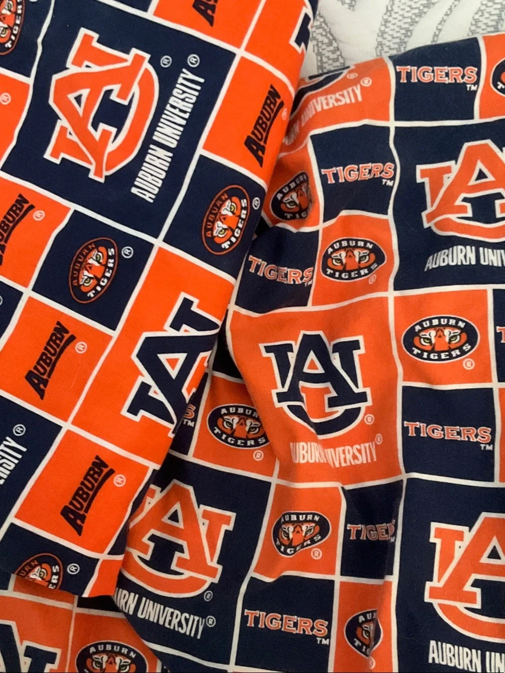 Auburn official university